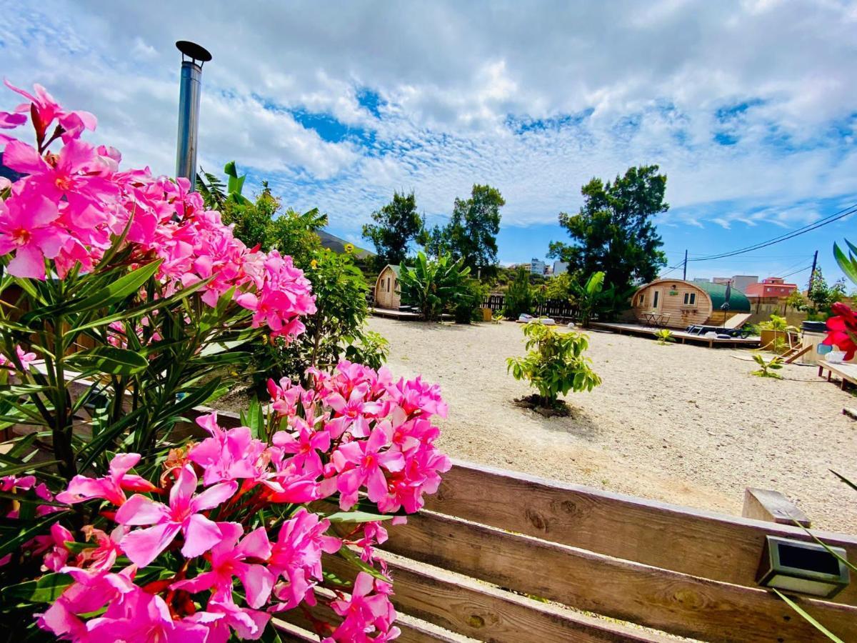 Arrebol Suite Con Jacuzzi, Piscina Y Naturaleza Buzanada エクステリア 写真